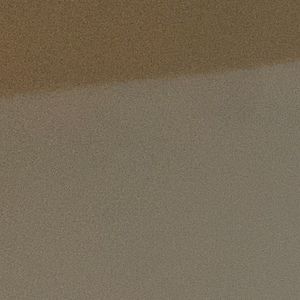 Meet your Posher, 2021 tyler